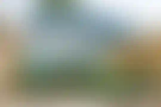 تکتم
