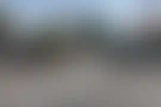 شهید اسدسنگابی 1