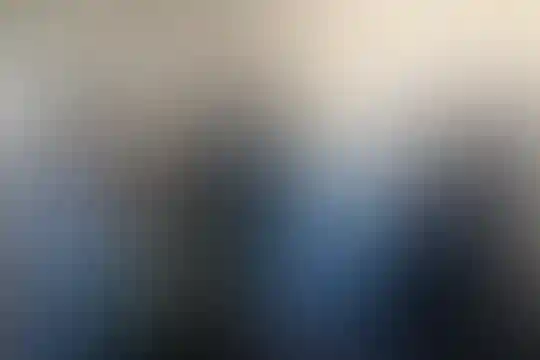 شهید صالحی