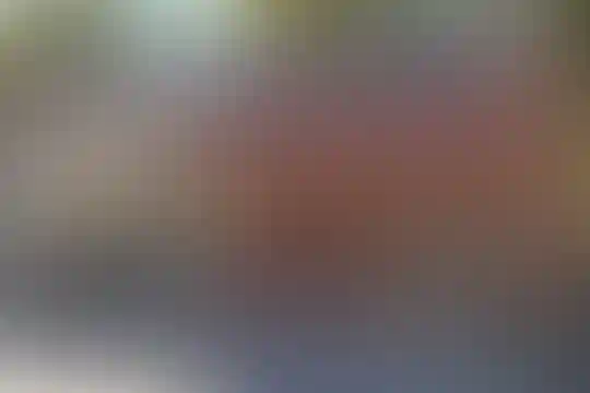 شهید هاشمی نژاد