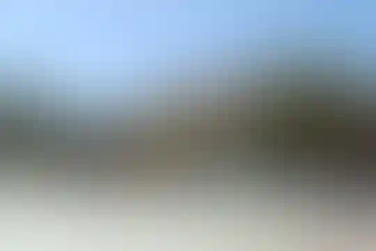 شهید هاشمی نژاد