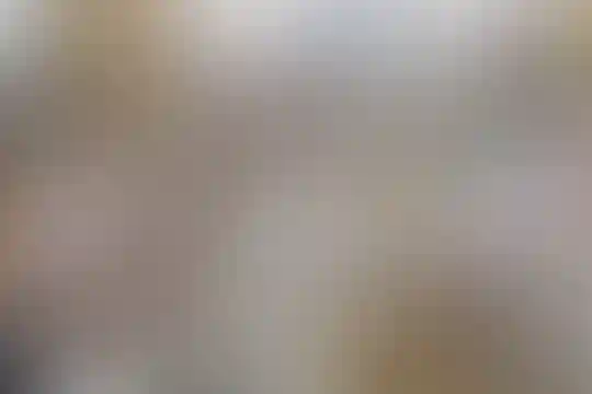 شهید اژه‌ای 1
