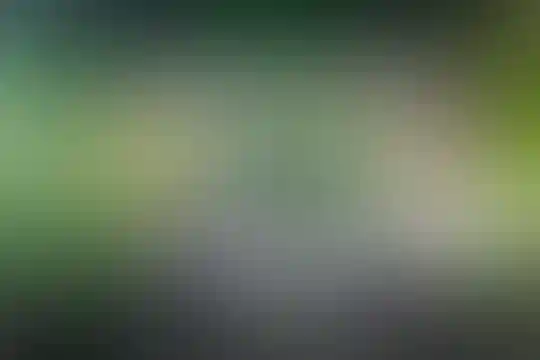 شهید اژه‌ای 1