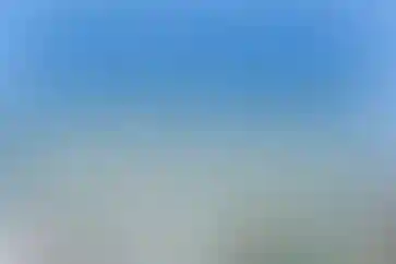 اردکانی