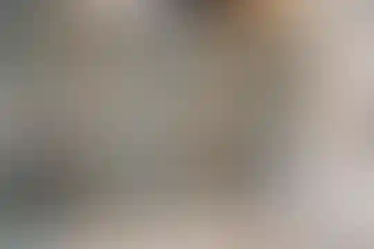 آرمینه مصلی نژاد