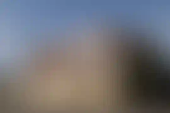 آرمینه مصلی نژاد