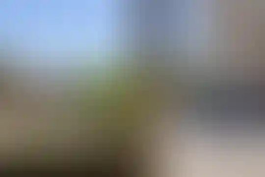 آرمینه مصلی نژاد