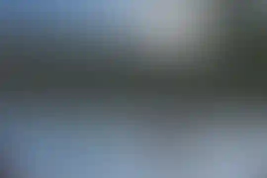شیخ حسام الدین سو