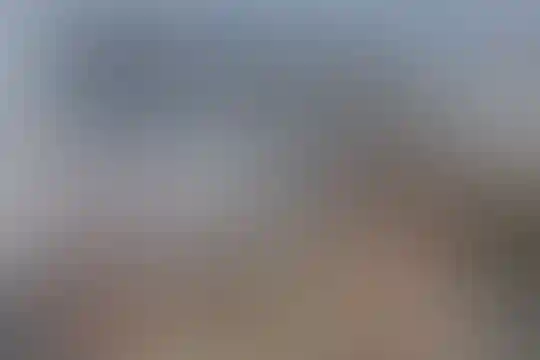 شیخ حسام الدین سو