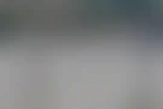 شیخ حسام الدین سو