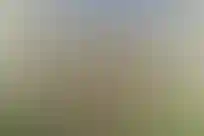 امام صادق