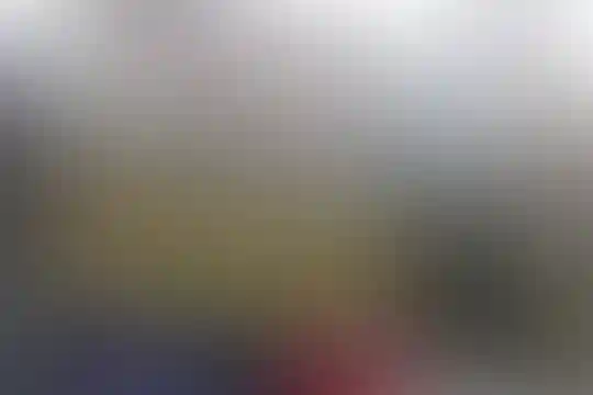 دانش فروزان 2