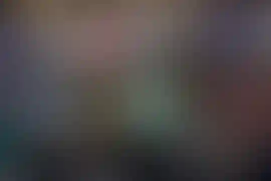 شیخ انصاری
