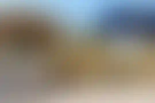 شهید دستغیب 1