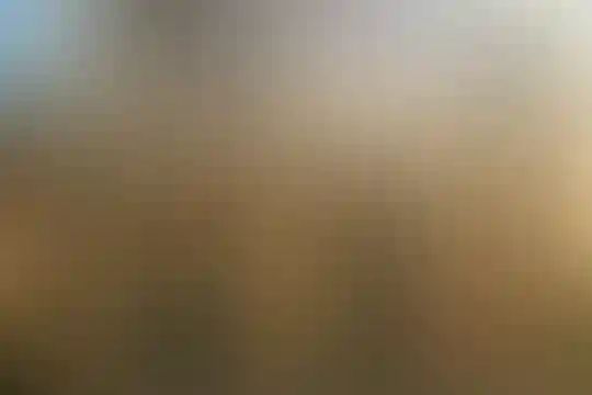 آرمیتا مصلی نژاد