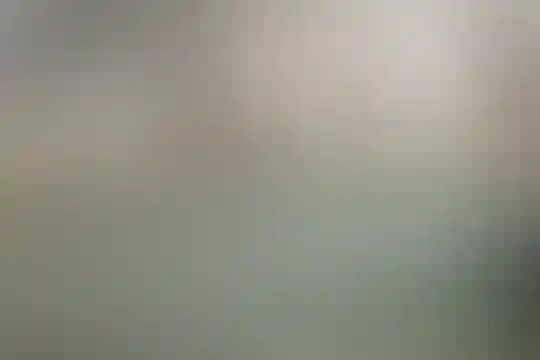 نبی اکرم