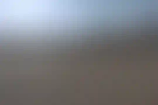 نبی اکرم