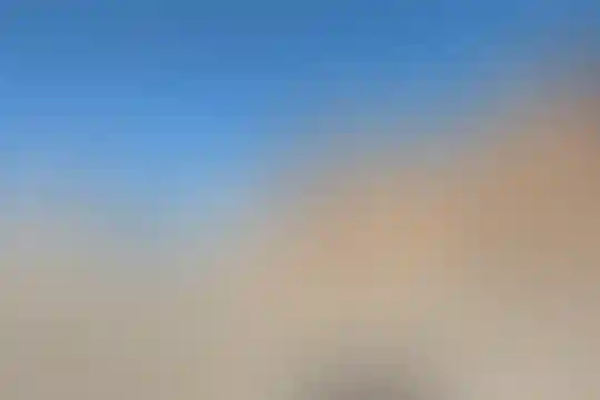 نبی اکرم