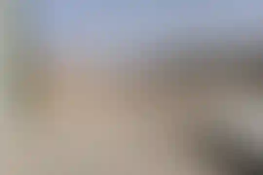 شهدای پتروشیمی