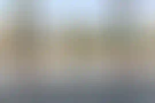 شهدای پتروشیمی