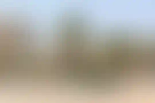 شهدای پتروشیمی