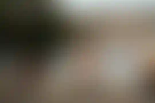 فارابی