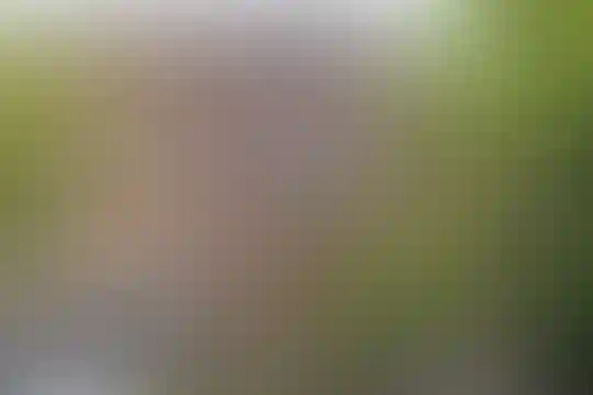 آیت الله طالقانی