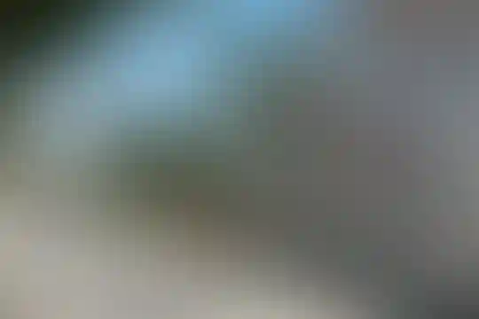 گلستان قرآن