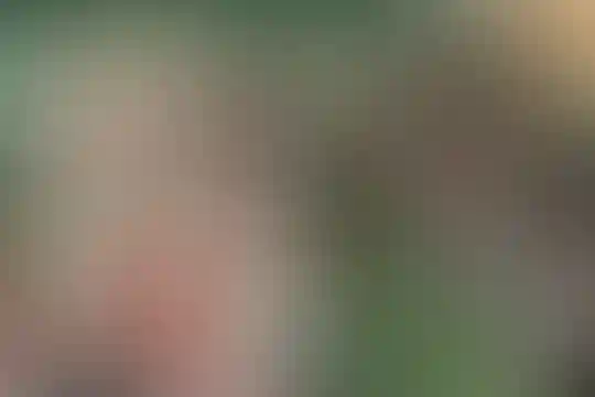 سادات