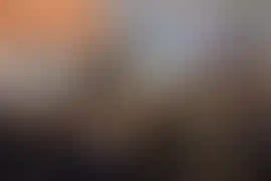 سادات