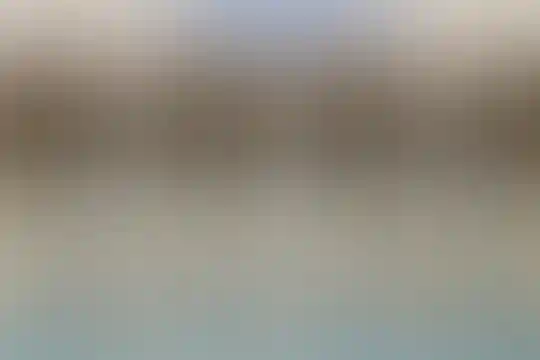 سادات