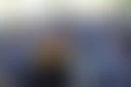 فرهنگ رسولیان