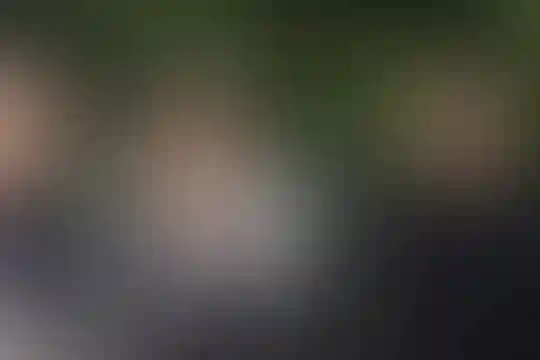 دهخدا