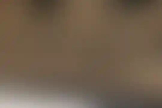 شهداء 34
