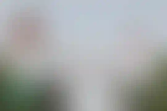 شهداء 34