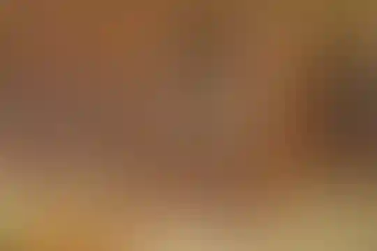 فرزانگان امین 2 (نژاد ستاری)