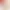 زردپی: بافتی که ماهیچه را به استخوان وصل می‌کند.