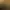 مسعود غزنوی کیست؟ پسر سلطان محمود غزنوی و محور اصلی روایت «تاریخ بیهقی».