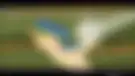 رنگین کمان چگونه ساخته می شود؟