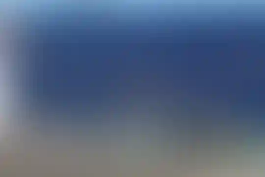 پاکان