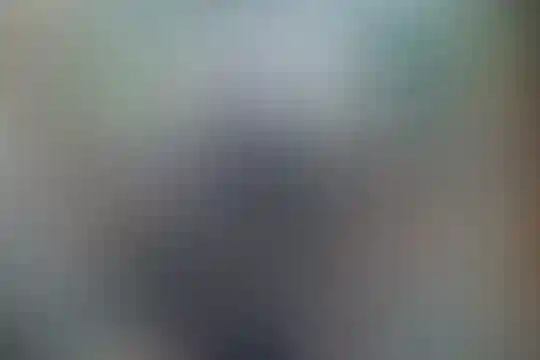 شهید نیازی 1