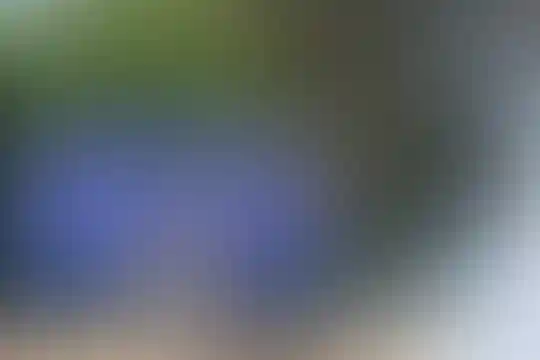 شهید دستغیب