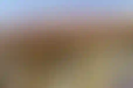 امام محمدباقر