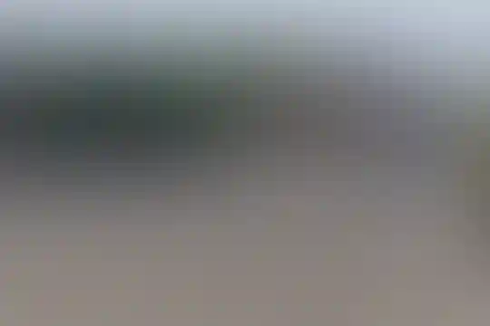 پیامبر اعظم