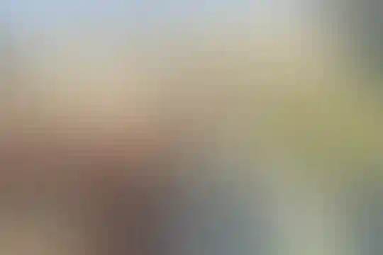 فرزانگان