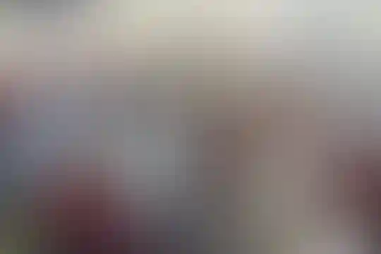 امام حسن مجتبی
