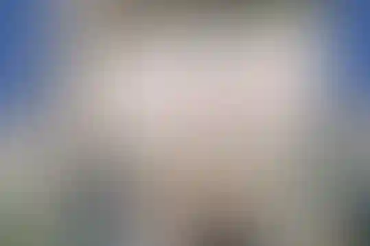امام حسن مجتبی