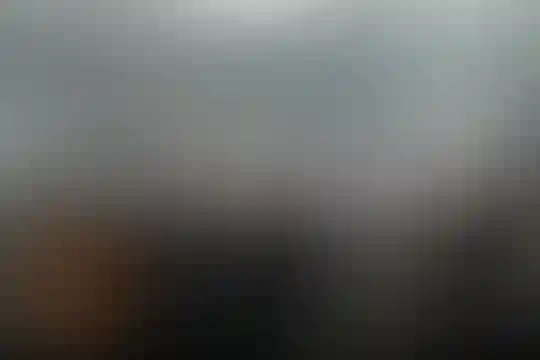امام حسن مجتبی