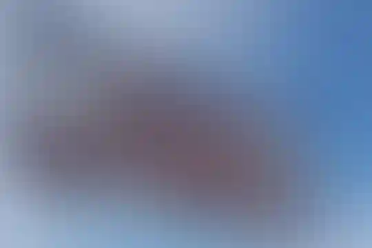 حضرت علی بن ابیطالب