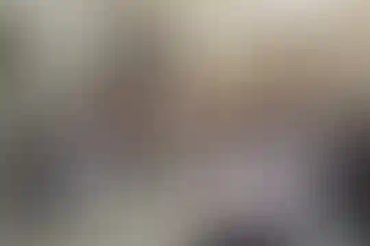 حضرت علی بن ابیطالب